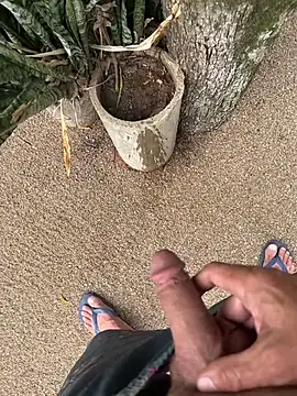 Snapshot of dogfrota chatting on January 2026 07:30:01 PM dogfrota online show from January 2026 07:30:01 PM