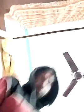 studio-my online show from February 2026 06:34:02 PM