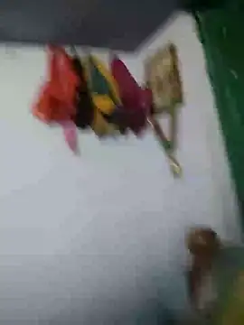 KGF786 online show from February 2026 07:50:02 PM