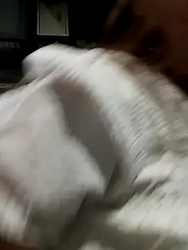 CML93 online show from February 2026 01:29:02 PM