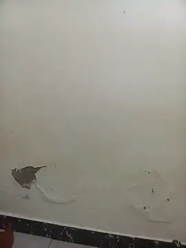 PatriciaVen online show from February 2026 05:44:02 AM