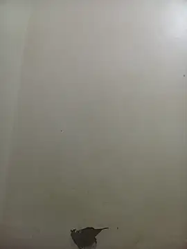 PatriciaVen online show from February 2026 04:05:02 AM