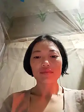 kotaka-shoow online show from February 2026 10:24:02 PM