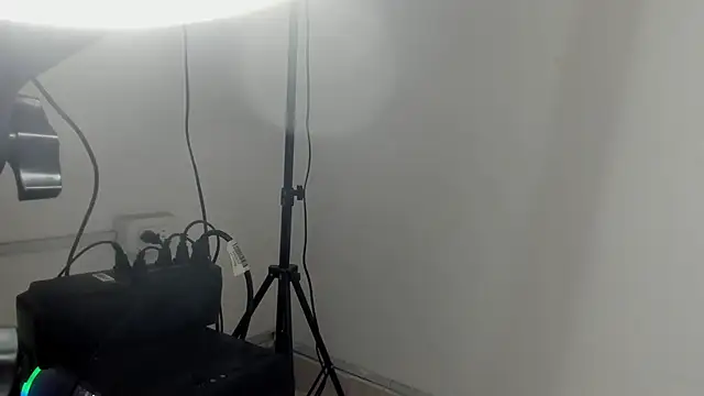 sofia laverde online show from April 2026 12:35:01 PM