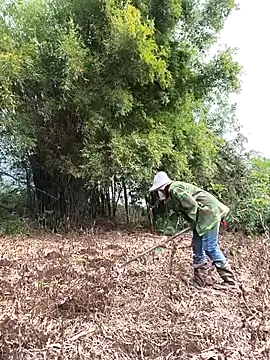 Jooj- online show from March 2026 09:02:02 AM