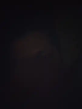 Pravin9562 online show from March 2026 07:09:01 PM