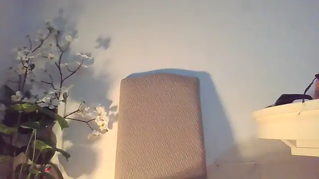 Snapshot of Dolcezzastella chatting on March 2026 07:43:01 AM Dolcezzastella online show from March 2026 07:43:01 AM