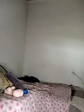 gatodepauduro online show from April 2026 12:31:01 PM