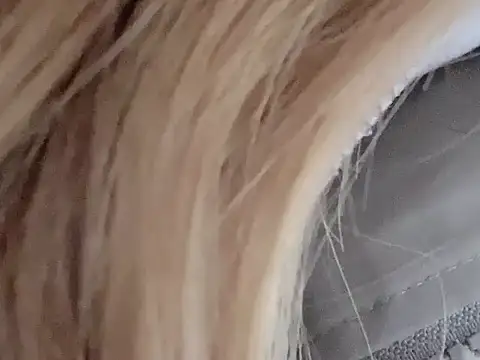 dingding-520 online show from March 2026 01:06:01 PM