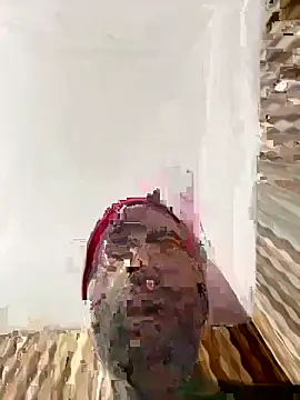 Snapshot of hardlysuck chatting on February 2026 02:39:02 AM hardlysuck online show from February 2026 02:39:02 AM