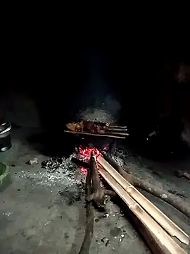 Hoa-tuylip online show from April 2026 02:34:01 AM