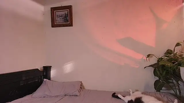 Snapshot of slowburnmystic chatting on June 2026 09:46:01 PM slowburnmystic online show from June 2026 09:46:01 PM