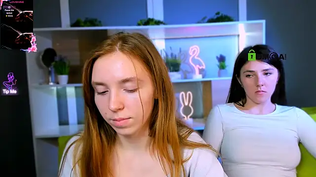 stella flower online show from March 2026 05:24:02 PM