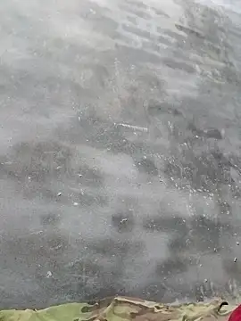 Sgs594802799 online show from April 2026 01:20:02 PM