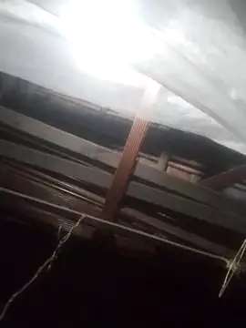 Snapshot of degeneradicto chatting on February 2026 05:04:01 AM degeneradicto online show from February 2026 05:04:01 AM