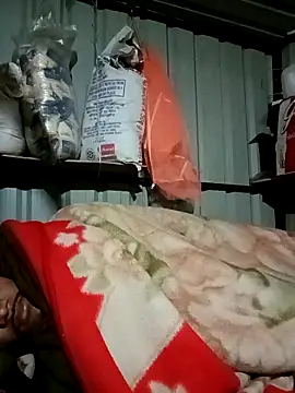 Krishna-10 online show from February 2026 05:17:02 PM