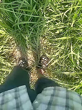 Cute Boy 4 online show from February 2026 05:30:01 AM