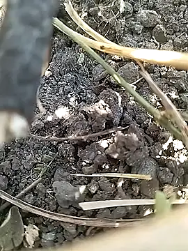 Cute Boy 4 online show from April 2026 07:36:02 AM