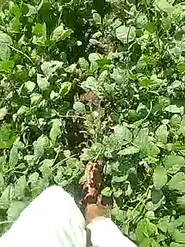 Cute Boy 4 online show from April 2026 04:37:01 AM