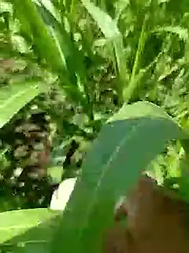 Snapshot of Cute_Boy_4 chatting on April 2026 05:19:01 AM Cute Boy 4 online show from April 2026 05:19:01 AM