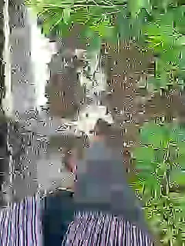 Cute Boy 4 online show from July 2026 04:29:01 AM