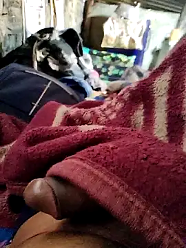 Snapshot of crazyxy12 chatting on February 2026 06:17:02 AM crazyxy12 online show from February 2026 06:17:02 AM