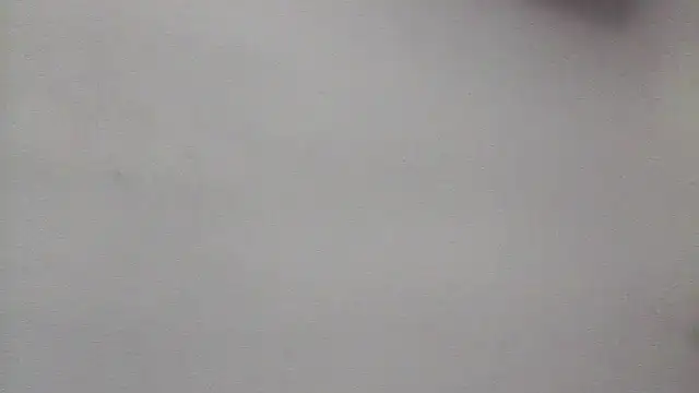 lorraine2036 online show from April 2026 03:40:02 PM