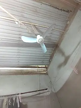 Snapshot of JordanX_01 chatting on April 2026 05:38:02 AM JordanX 01 online show from April 2026 05:38:02 AM