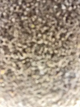 Namipeitudinha online show from February 2026 04:58:02 PM