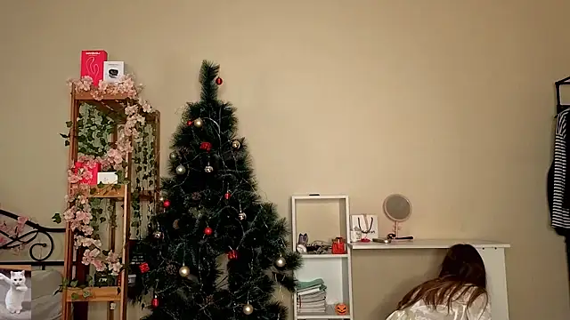 HoneyComfy online show from February 2026 11:18:01 AM