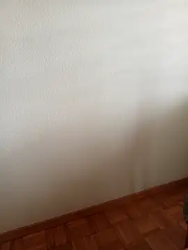 Snapshot of baipal74 chatting on February 2026 12:45:02 PM baipal74 online show from February 2026 12:45:02 PM