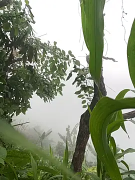 Snapshot of neyney110 chatting on April 2026 12:35:02 AM neyney110 online show from April 2026 12:35:02 AM