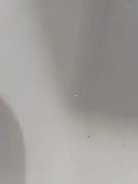 ONixCris online show from March 2026 06:20:01 AM