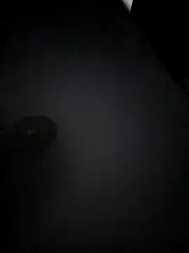 franc 300 online show from April 2026 12:00:01 AM