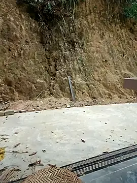 sushi-asa online show from March 2026 02:35:01 AM