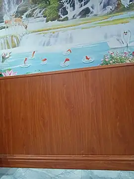 sa-sakura online show from March 2026 12:31:02 PM