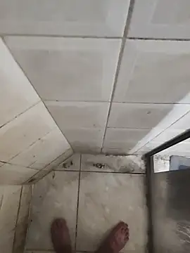 Gordinho dos pes online show from March 2026 03:43:01 AM