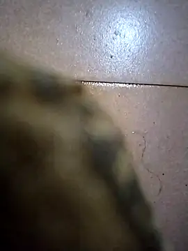 Snapshot of the_sayem_fuckboy chatting on February 2026 02:01:02 PM the sayem fuckboy online show from February 2026 02:01:02 PM