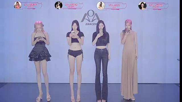 Snapshot of __AOA__ chatting on June 2026 08:48:01 PM AOA online show from June 2026 08:48:01 PM