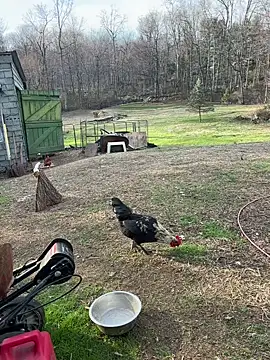 Snapshot of tommattsonn chatting on March 2026 09:40:01 PM tommattsonn online show from March 2026 09:40:01 PM