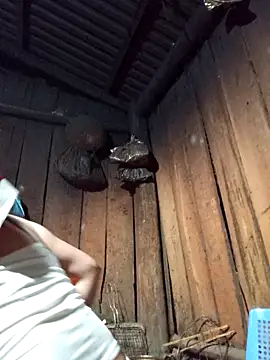 lena-cute online show from February 2026 12:54:01 PM