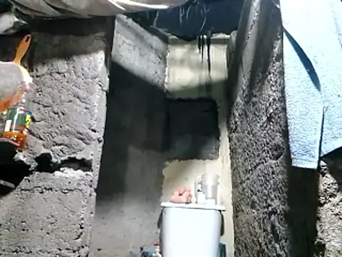 polla large active online show from April 2026 12:26:02 AM