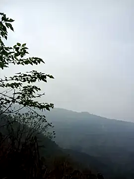 cuunon11 online show from March 2026 12:45:01 AM