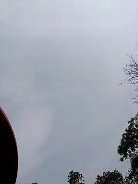 Linka998 online show from April 2026 07:49:01 AM