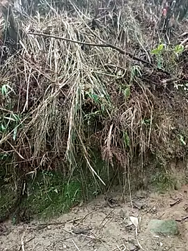 Snapshot of aiai220 chatting on March 2026 01:22:02 AM aiai220 online show from March 2026 01:22:02 AM