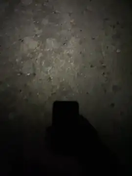 Snapshot of stallone_italiano_62 chatting on February 2026 11:22:01 PM stallone italiano 62 online show from February 2026 11:22:01 PM