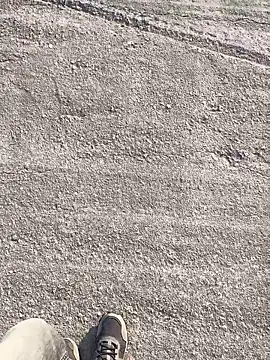 stallone italiano 62 online show from March 2026 07:23:01 AM