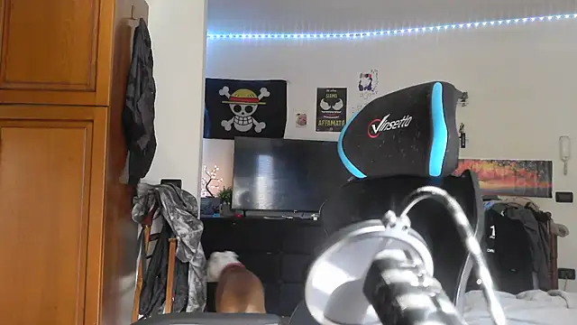 maestroboris95 online show from February 2026 10:47:01 AM