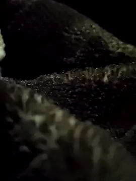 aryanvfit online show from February 2026 06:01:02 PM