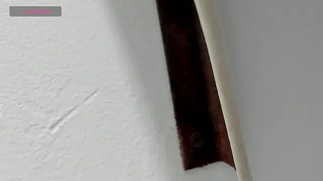 Criistal castro online show from April 2026 11:33:02 AM